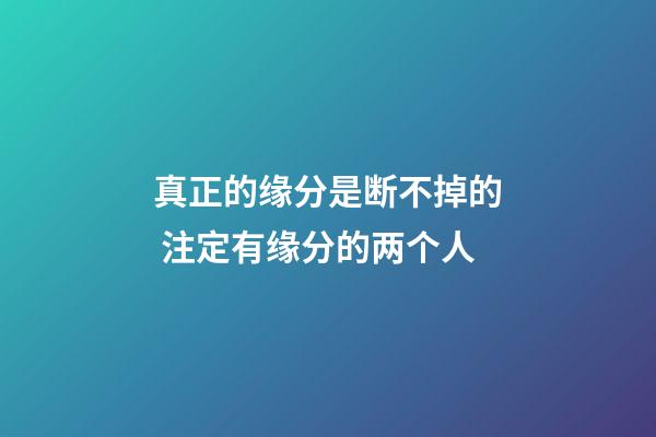真正的缘分是断不掉的 注定有缘分的两个人